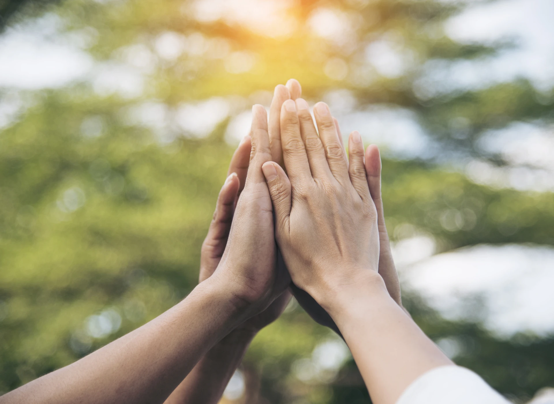 Teamwork and unity gesture in nature